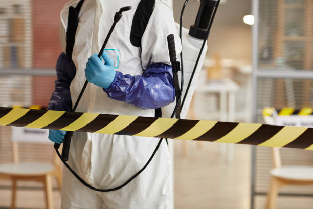 Professional Hoarding Cleanup technician working in Windfall, IN
